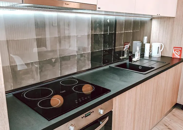 Daire Luxury Haven By Iulius Mall Parking, Netflix *