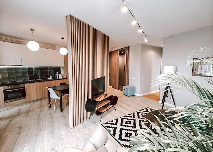 Luxury Haven By Iulius Mall Parking, Netflix Daire *